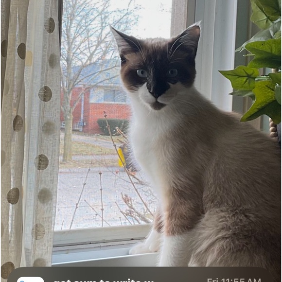 Meet your Posher, Brooke - Picture 9 of 11